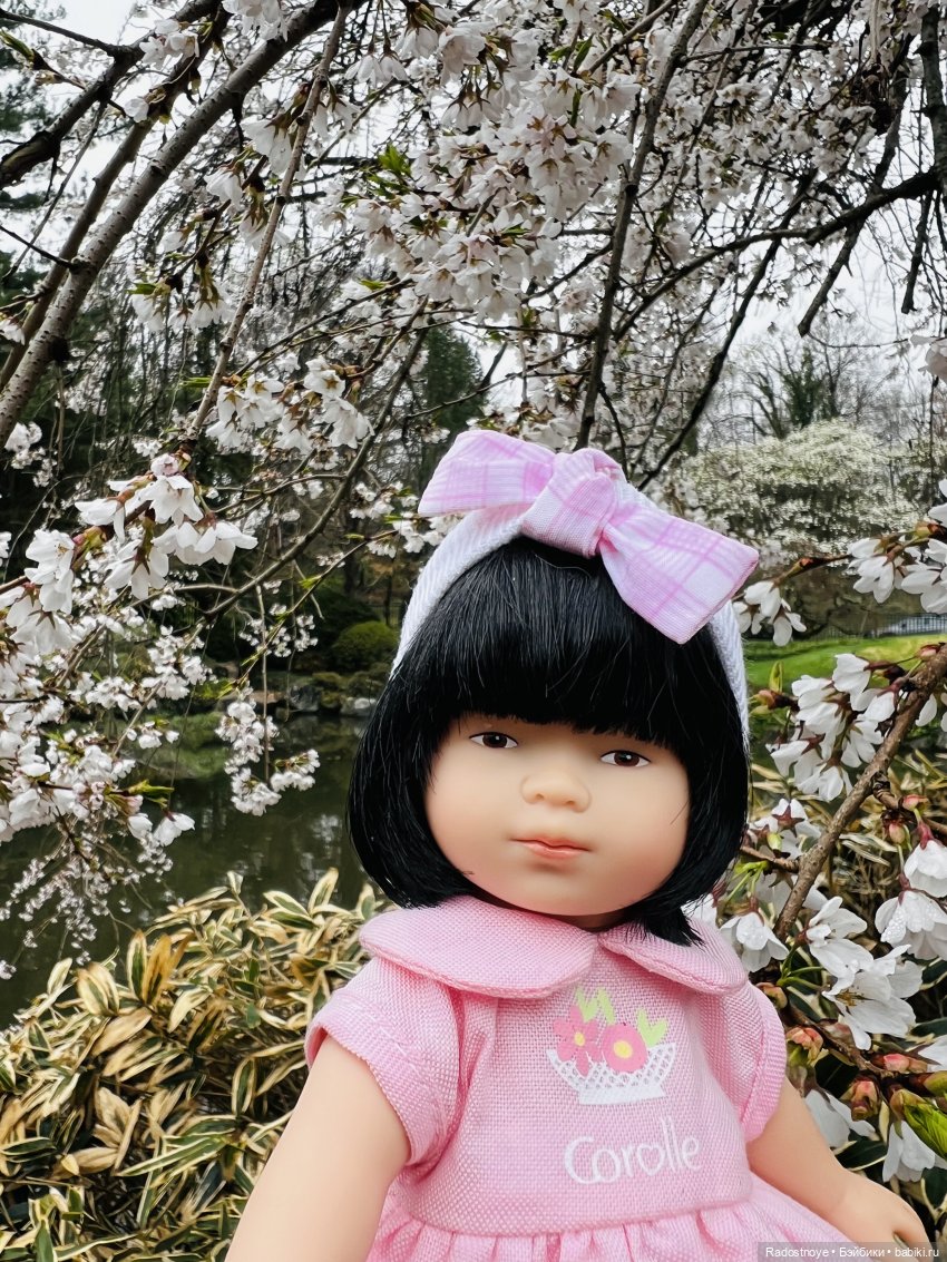 Цветение сакуры и посещение японского дома в Филадельфии