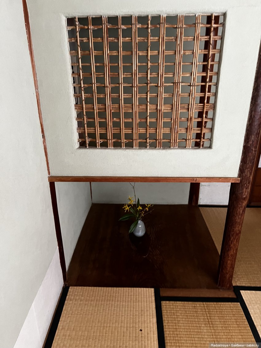 Цветение сакуры и посещение японского дома в Филадельфии