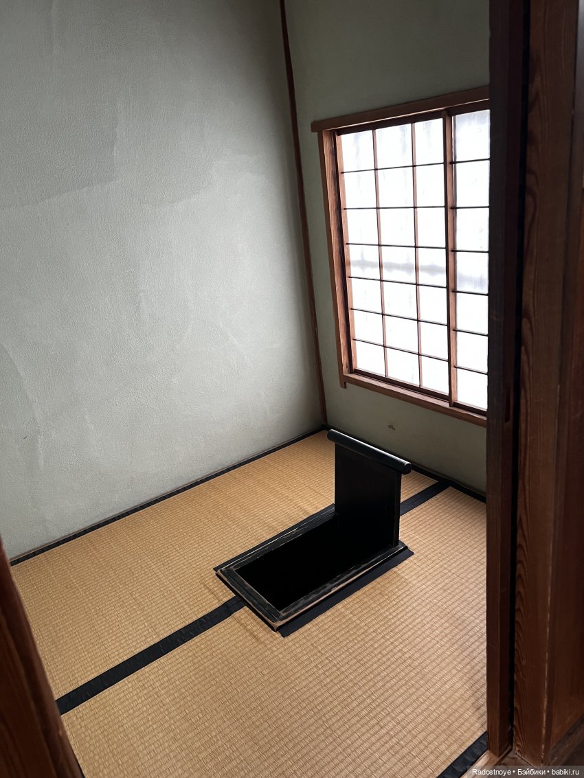 Цветение сакуры и посещение японского дома в Филадельфии