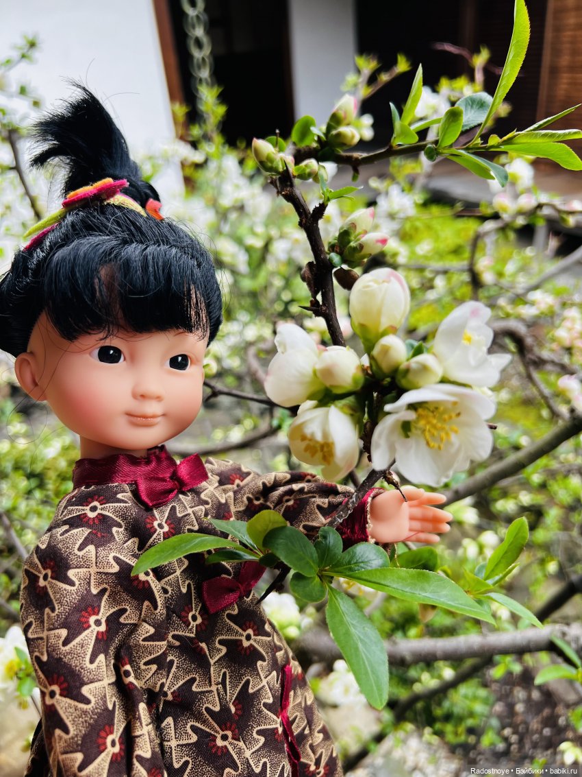 Цветение сакуры и посещение японского дома в Филадельфии