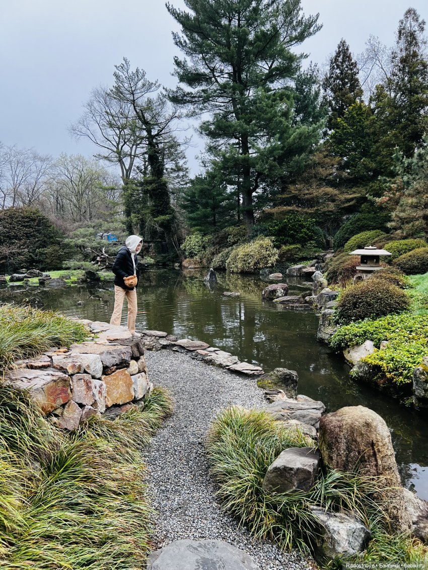 Цветение сакуры и посещение японского дома в Филадельфии