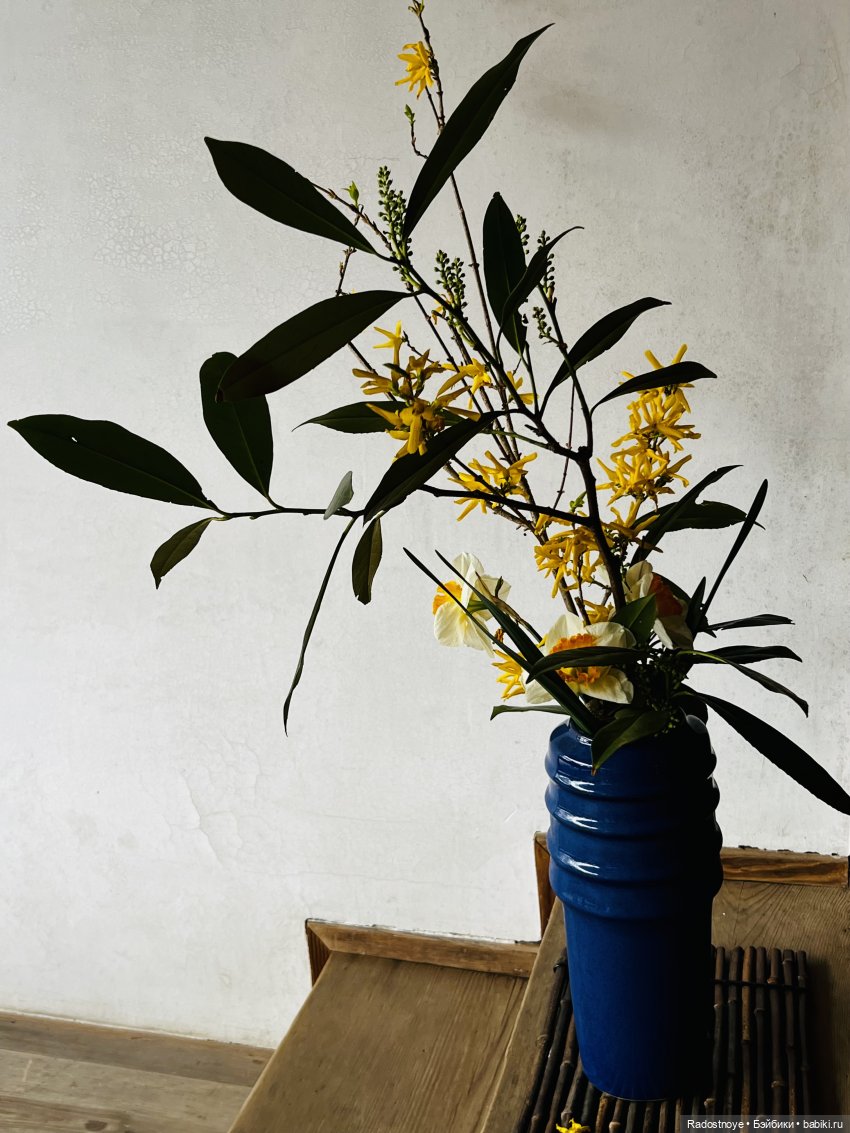 Цветение сакуры и посещение японского дома в Филадельфии