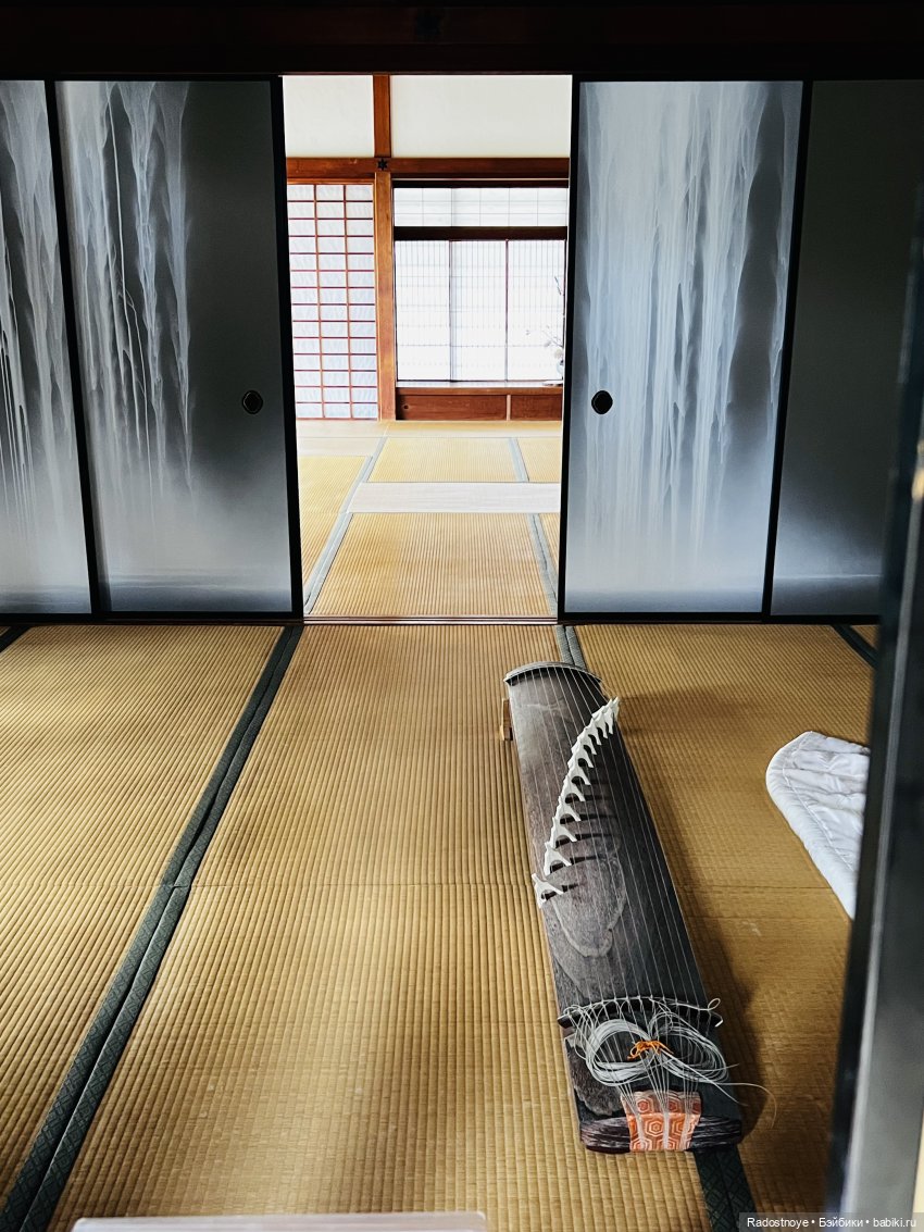 Цветение сакуры и посещение японского дома в Филадельфии