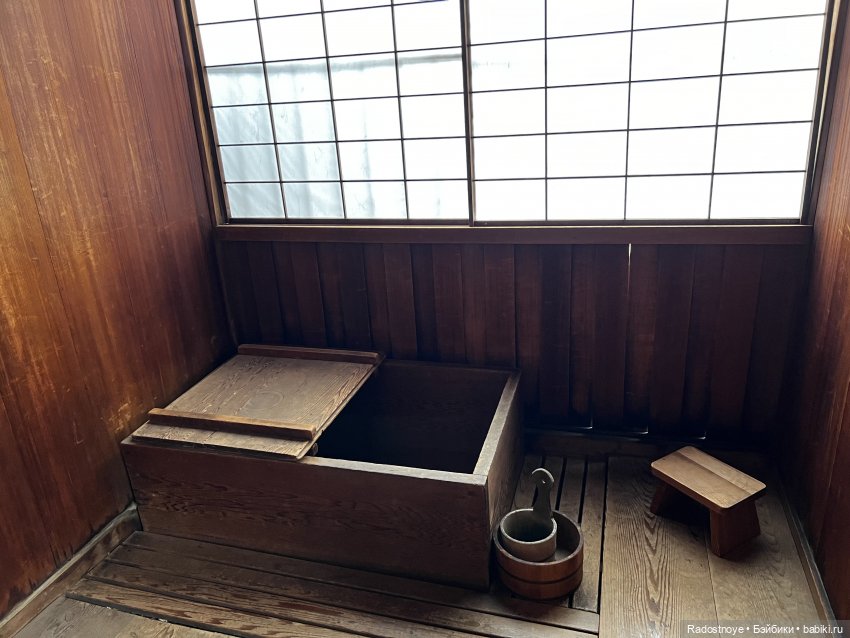 Цветение сакуры и посещение японского дома в Филадельфии