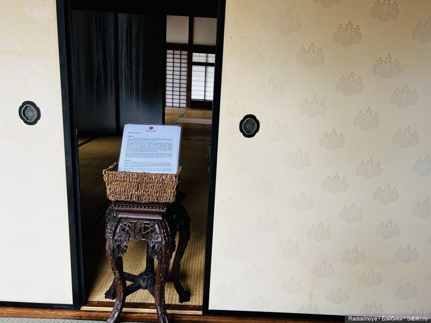 Цветение сакуры и посещение японского дома в Филадельфии