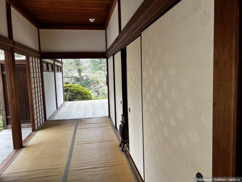 Цветение сакуры и посещение японского дома в Филадельфии