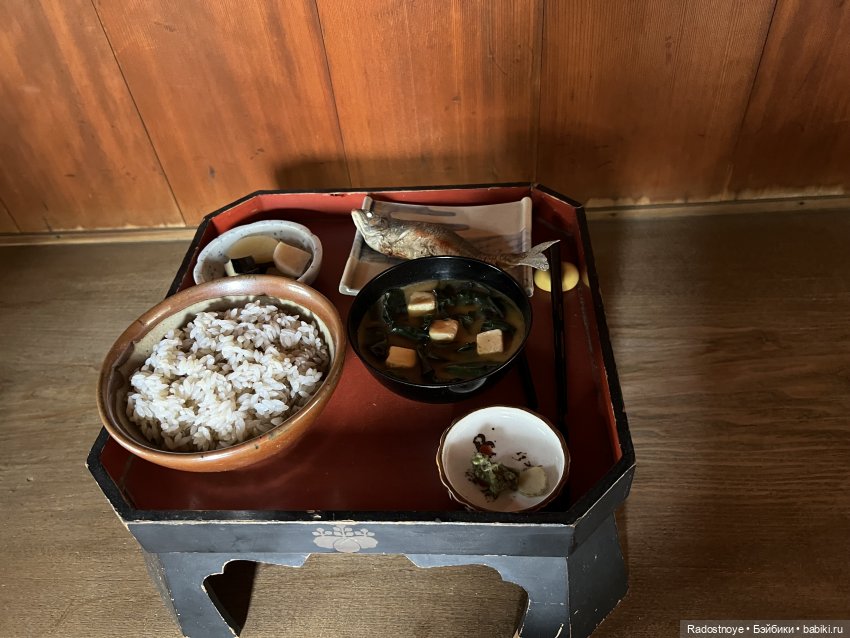 Цветение сакуры и посещение японского дома в Филадельфии