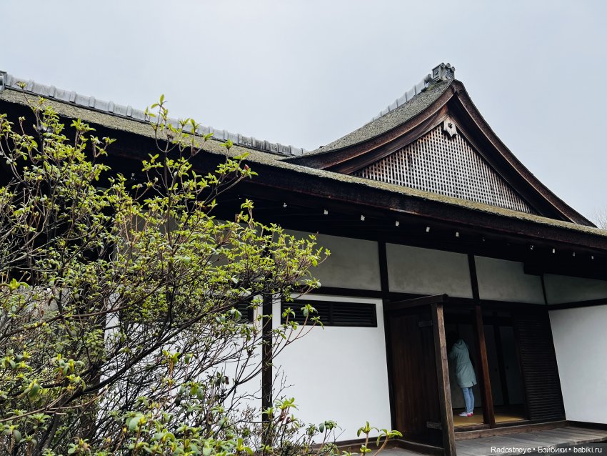 Цветение сакуры и посещение японского дома в Филадельфии