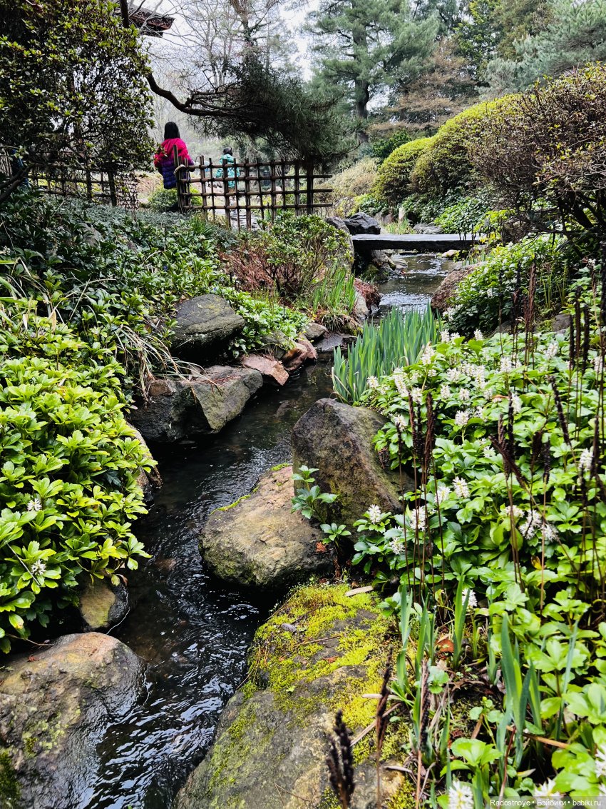 Цветение сакуры и посещение японского дома в Филадельфии (фото 5)