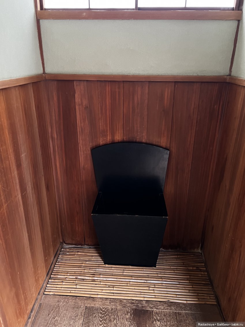 Цветение сакуры и посещение японского дома в Филадельфии