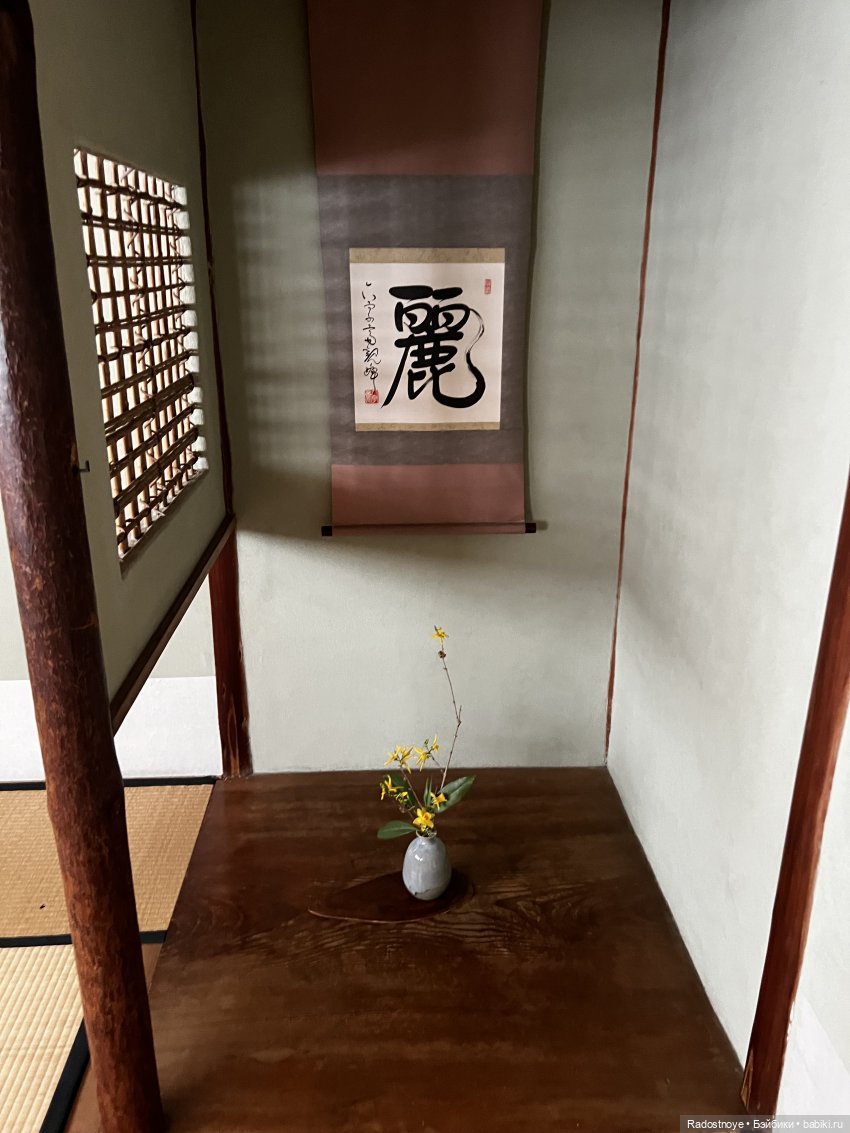 Цветение сакуры и посещение японского дома в Филадельфии