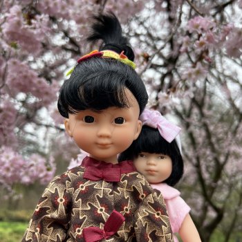 Цветение сакуры и посещение японского дома в Филадельфии