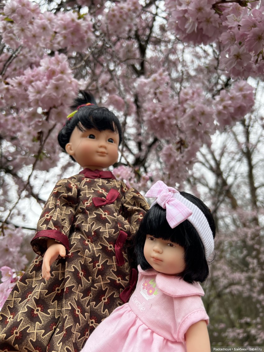 Цветение сакуры и посещение японского дома в Филадельфии