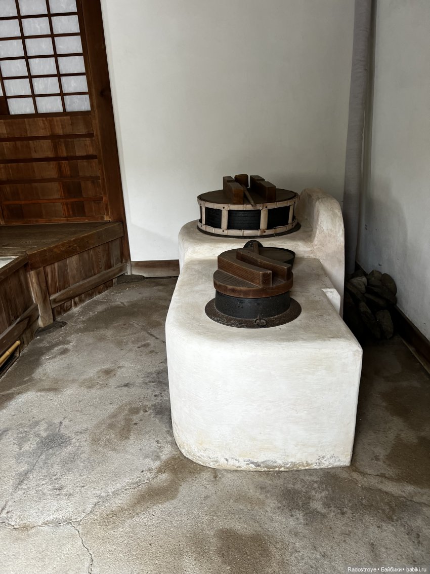 Цветение сакуры и посещение японского дома в Филадельфии