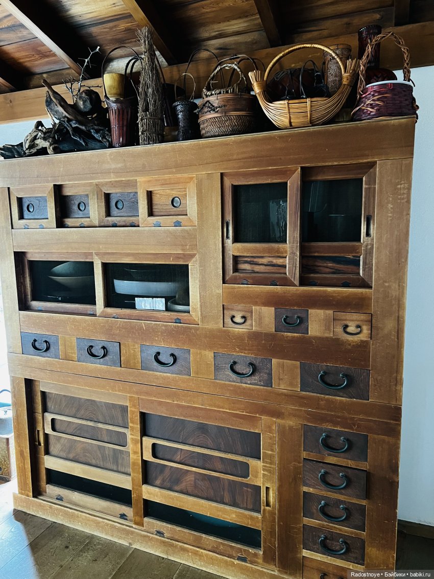 Цветение сакуры и посещение японского дома в Филадельфии