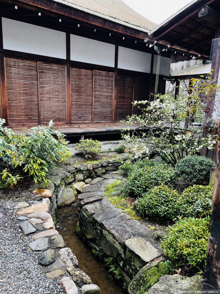 Цветение сакуры и посещение японского дома в Филадельфии