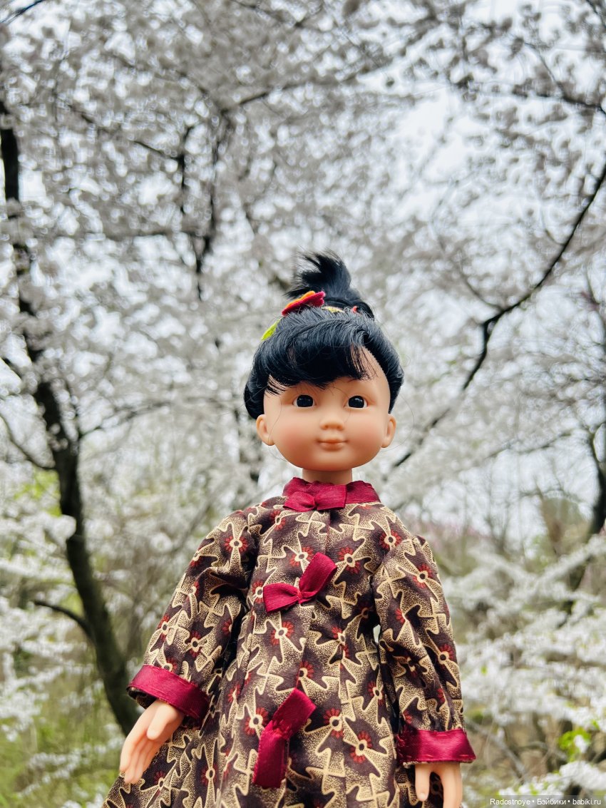 Цветение сакуры и посещение японского дома в Филадельфии