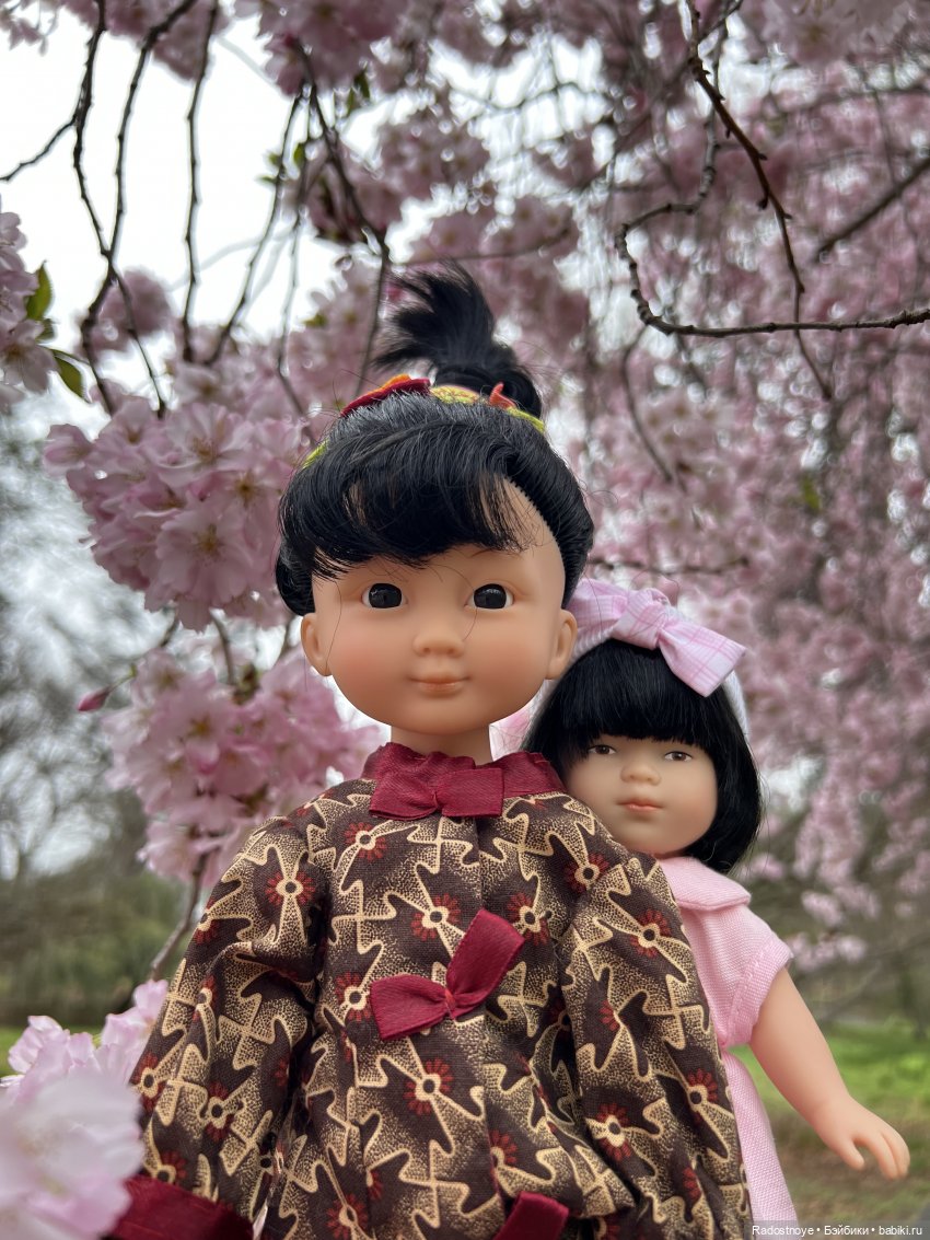 Цветение сакуры и посещение японского дома в Филадельфии