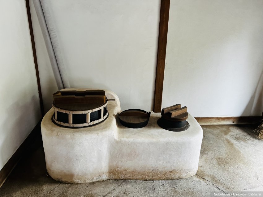 Цветение сакуры и посещение японского дома в Филадельфии