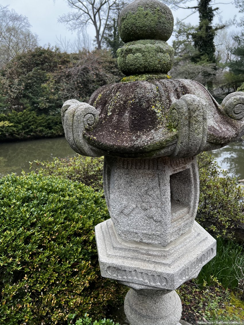 Цветение сакуры и посещение японского дома в Филадельфии