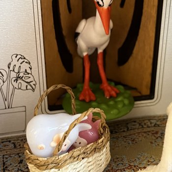 Аист принёс- Зайцеламакроликов 🐇🦙🧡