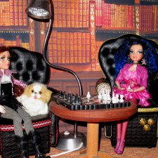 Вести из куклодома. В нашей библиотеке