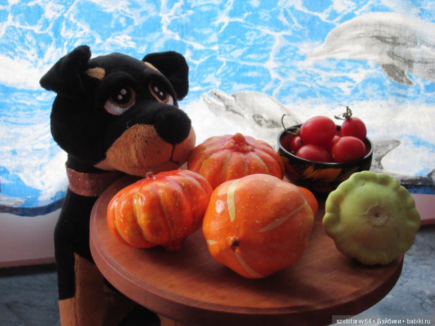 Вести из куклодома. 1-е Октября (фото 4)