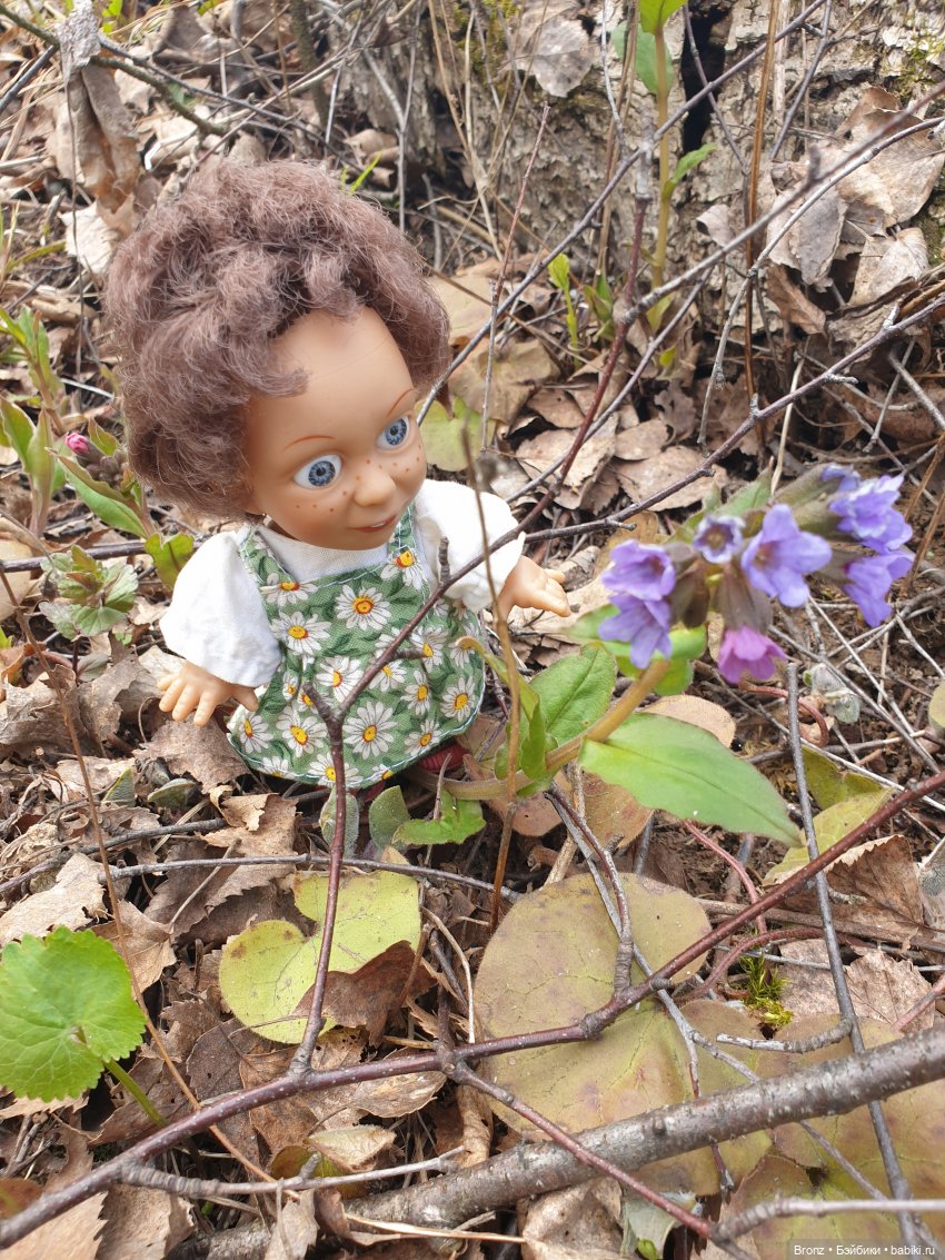 Вылазка в лес — Болталка и разговоры обо всем: жизнь (фото 2)