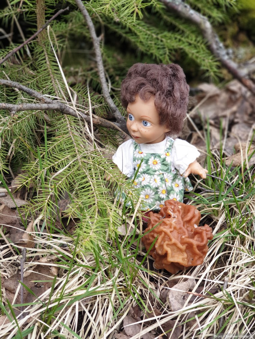 Вылазка в лес — Болталка и разговоры обо всем: жизнь (фото 8)