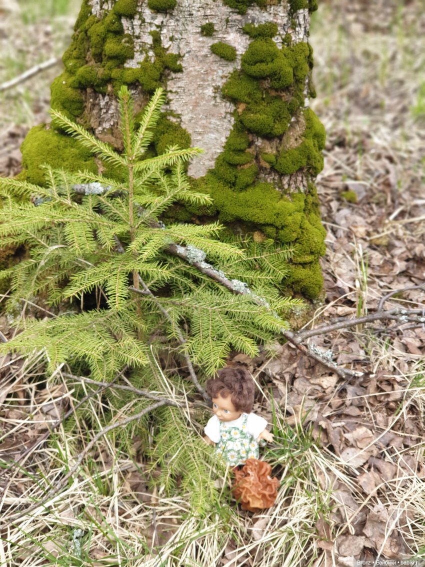 Вылазка в лес — Болталка и разговоры обо всем: жизнь