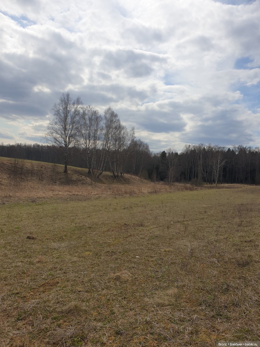 Вылазка в лес — Болталка и разговоры обо всем: жизнь