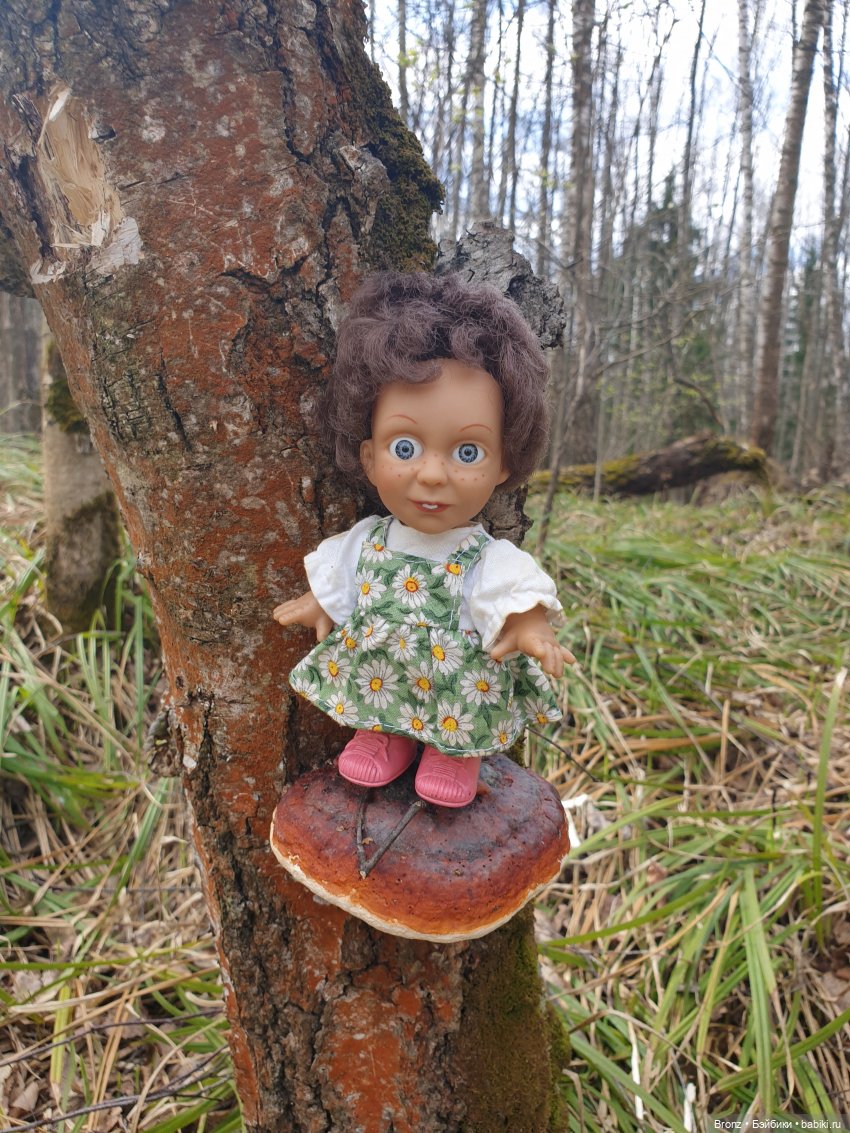 Вылазка в лес — Болталка и разговоры обо всем: жизнь (фото 6)