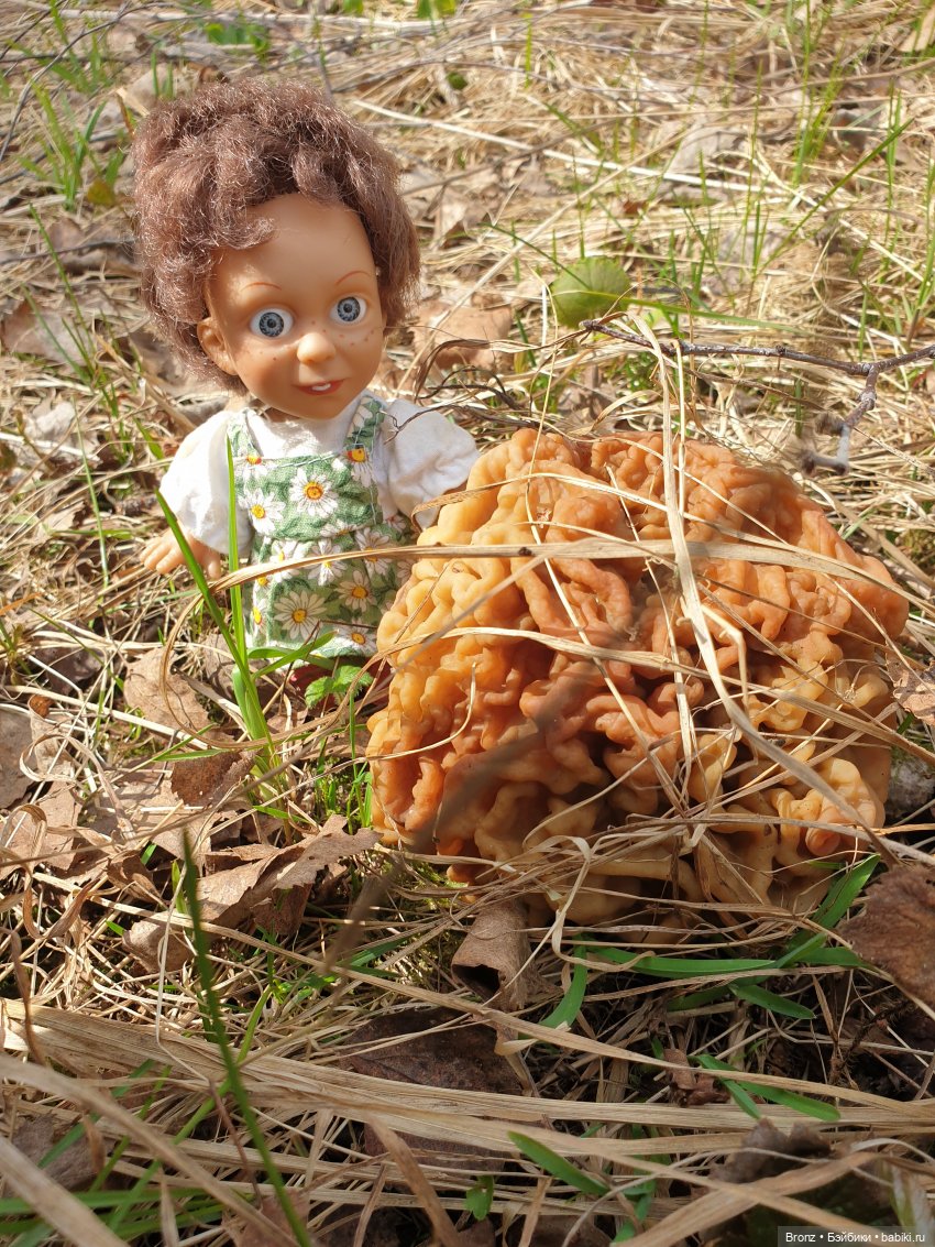 Вылазка в лес — Болталка и разговоры обо всем: жизнь (фото 7)