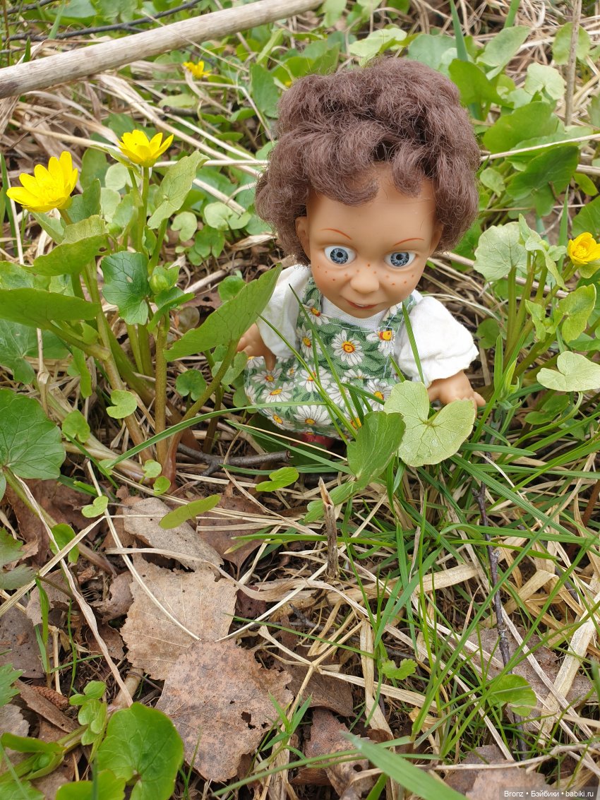 Вылазка в лес — Болталка и разговоры обо всем: жизнь (фото 3)