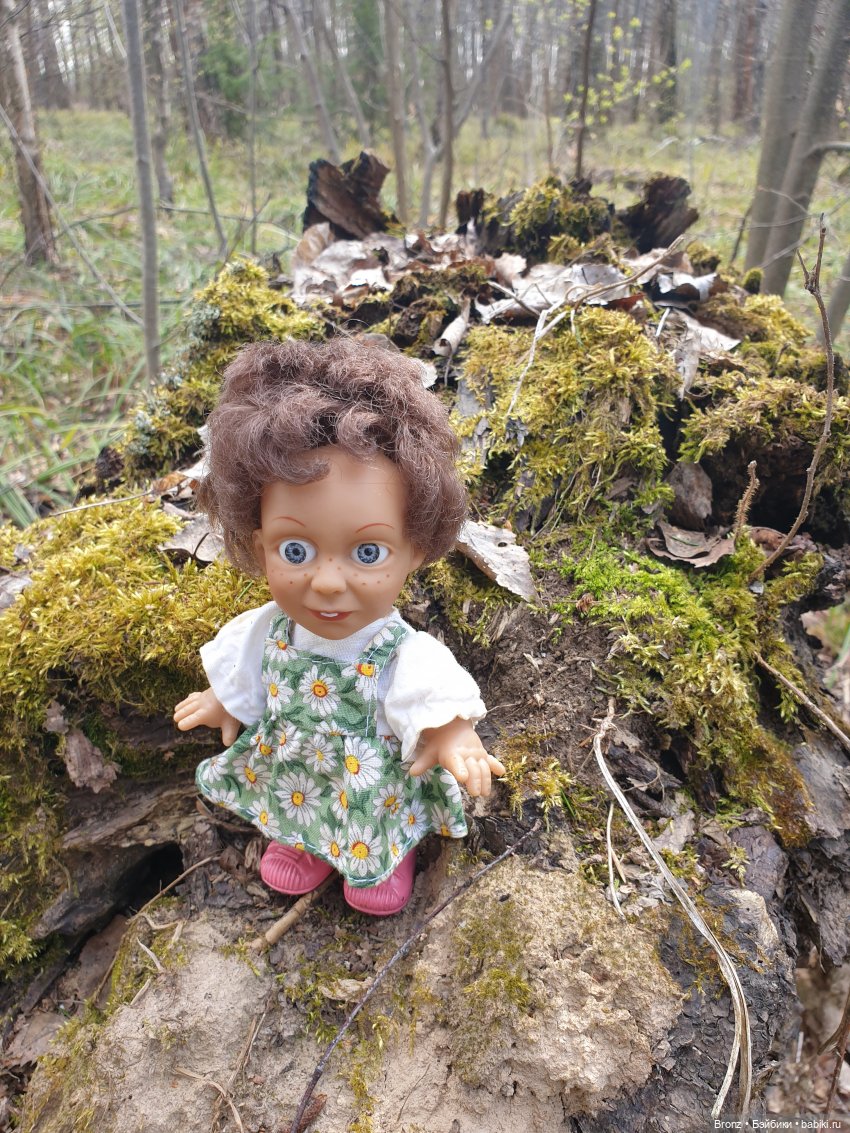 Вылазка в лес — Болталка и разговоры обо всем: жизнь