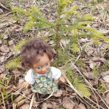 Вылазка в лес