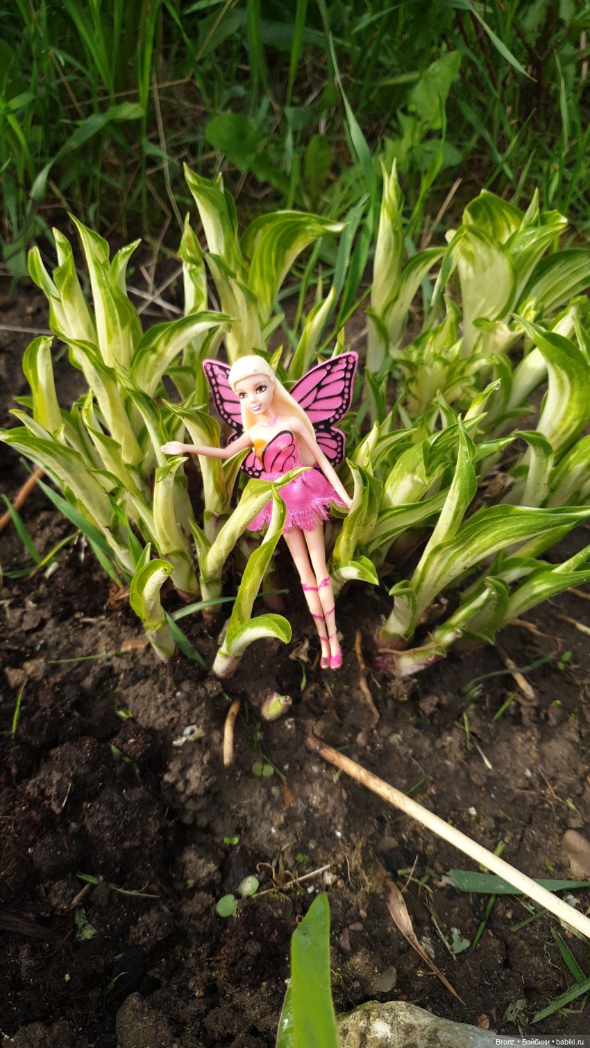 Поиски тепла | Бэйбики Поиски тепла — Болталка и разговоры обо всем: жизнь (фото 2)