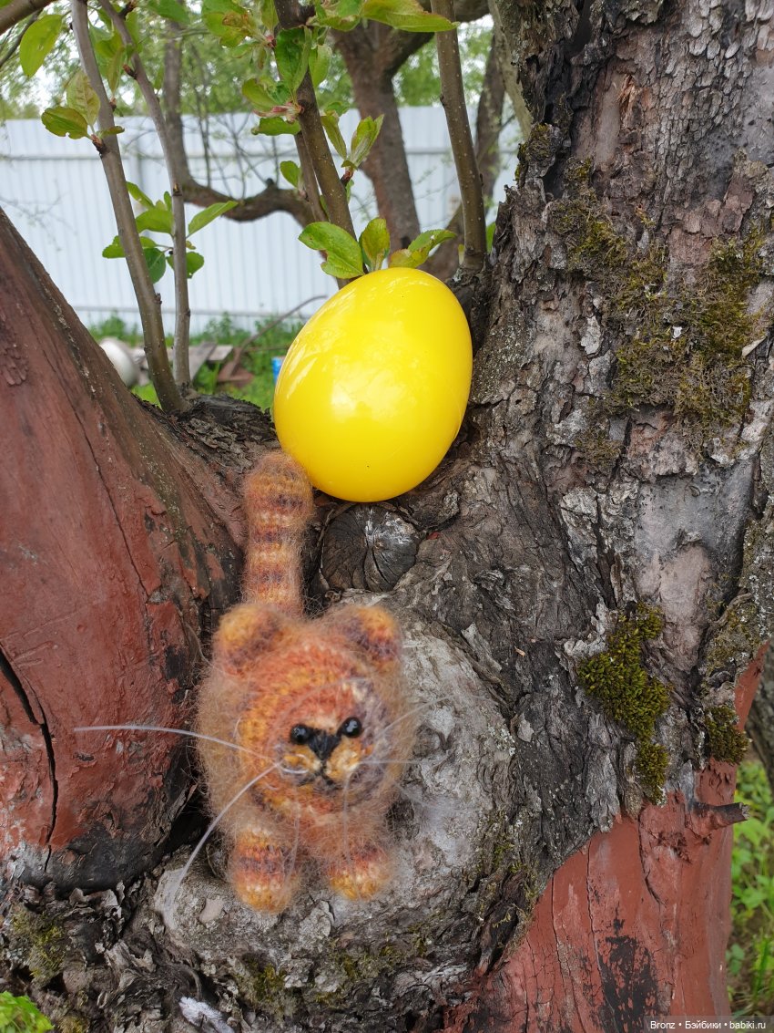 Поиски тепла | Бэйбики Поиски тепла — Болталка и разговоры обо всем: жизнь (фото 8)