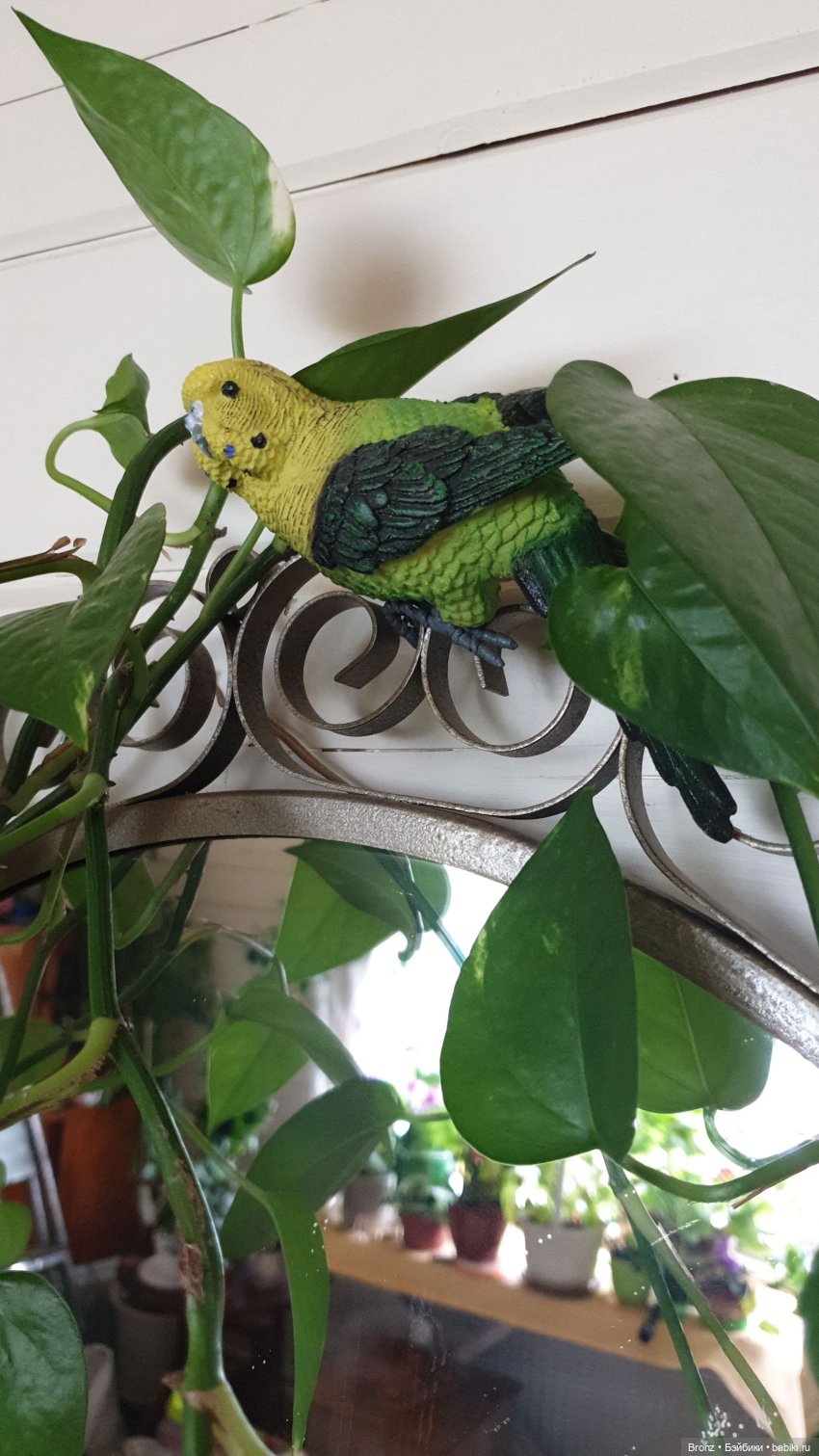 Поиски тепла | Бэйбики Поиски тепла — Болталка и разговоры обо всем: жизнь (фото 9)