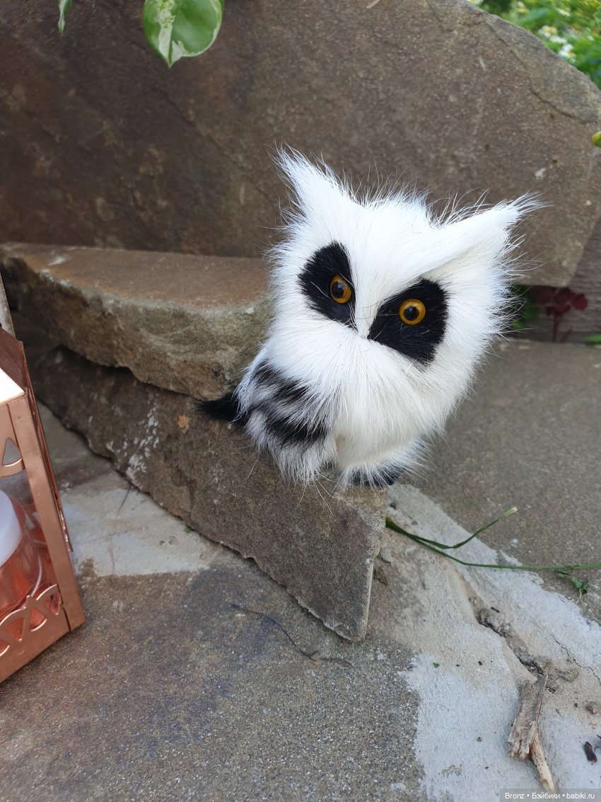 Эльф проснулся — Куклы Fairyland (ФэйриЛэнд): BJD (БЖД) (фото 10)