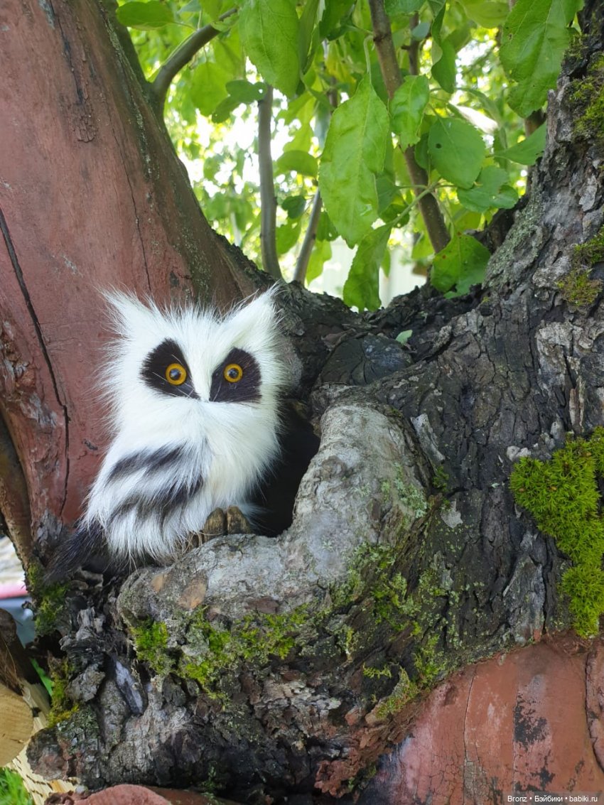 Эльф на прогулке в саду — Куклы Fairyland (ФэйриЛэнд): BJD (БЖД) (фото 7)