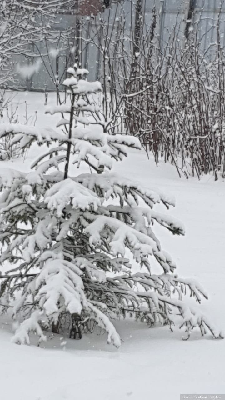 Вспоминая лето | Бэйбики Вспоминая лето — Болталка и разговоры обо всем: жизнь