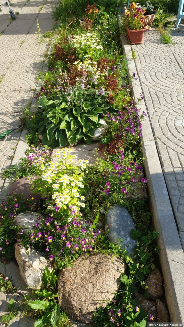 Вспоминая лето | Бэйбики Вспоминая лето — Болталка и разговоры обо всем: жизнь (фото 5)