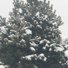 Вспоминая лето