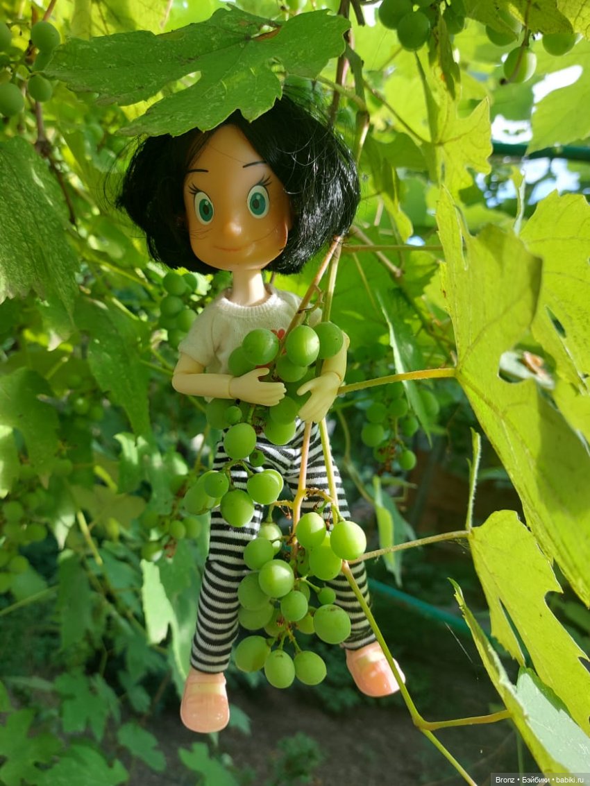 Нечаянная радость — Гибриды шарнирных кукол (не БЖД): подбор тела (фото 7)