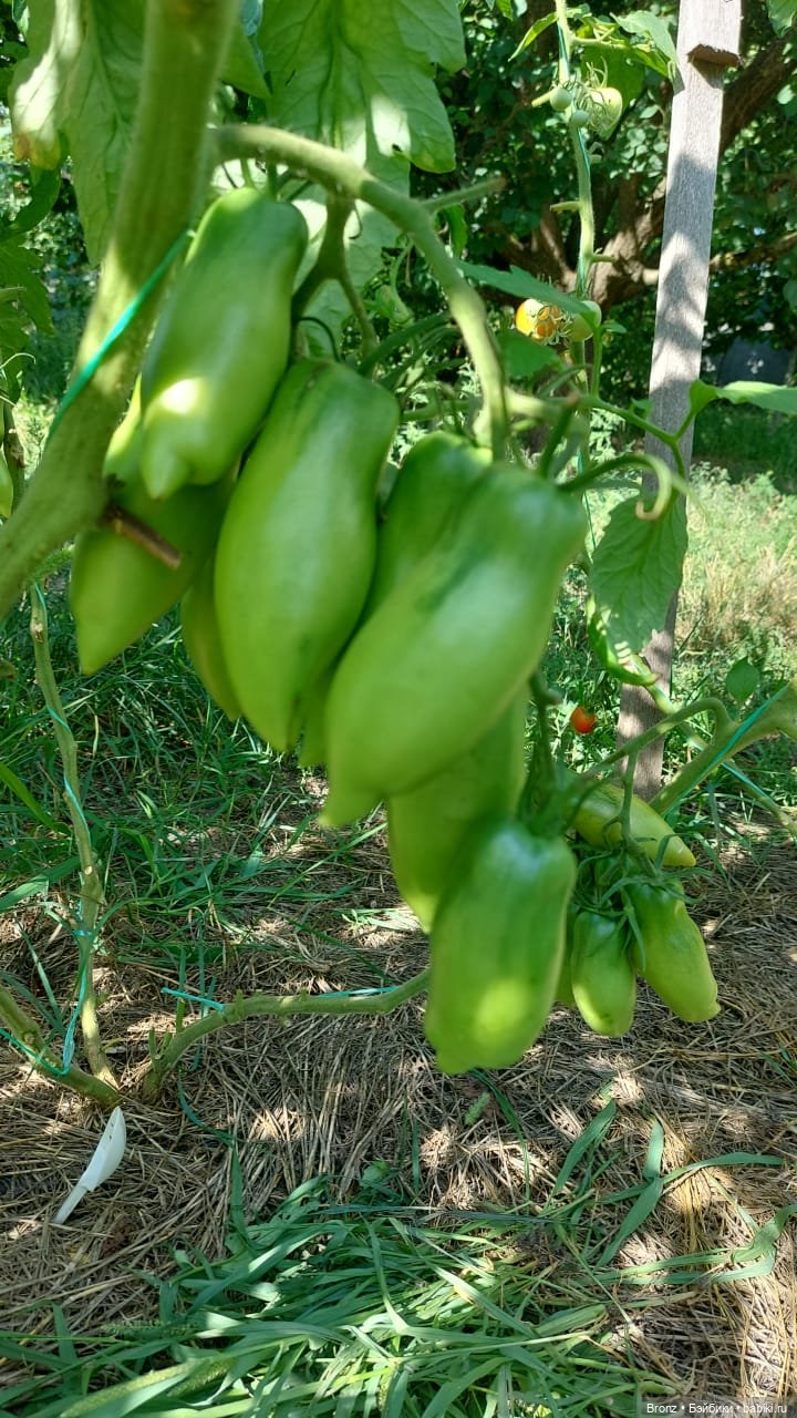 Нечаянная радость - 2 — Гибриды шарнирных кукол (не БЖД): подбор тела (фото 6)