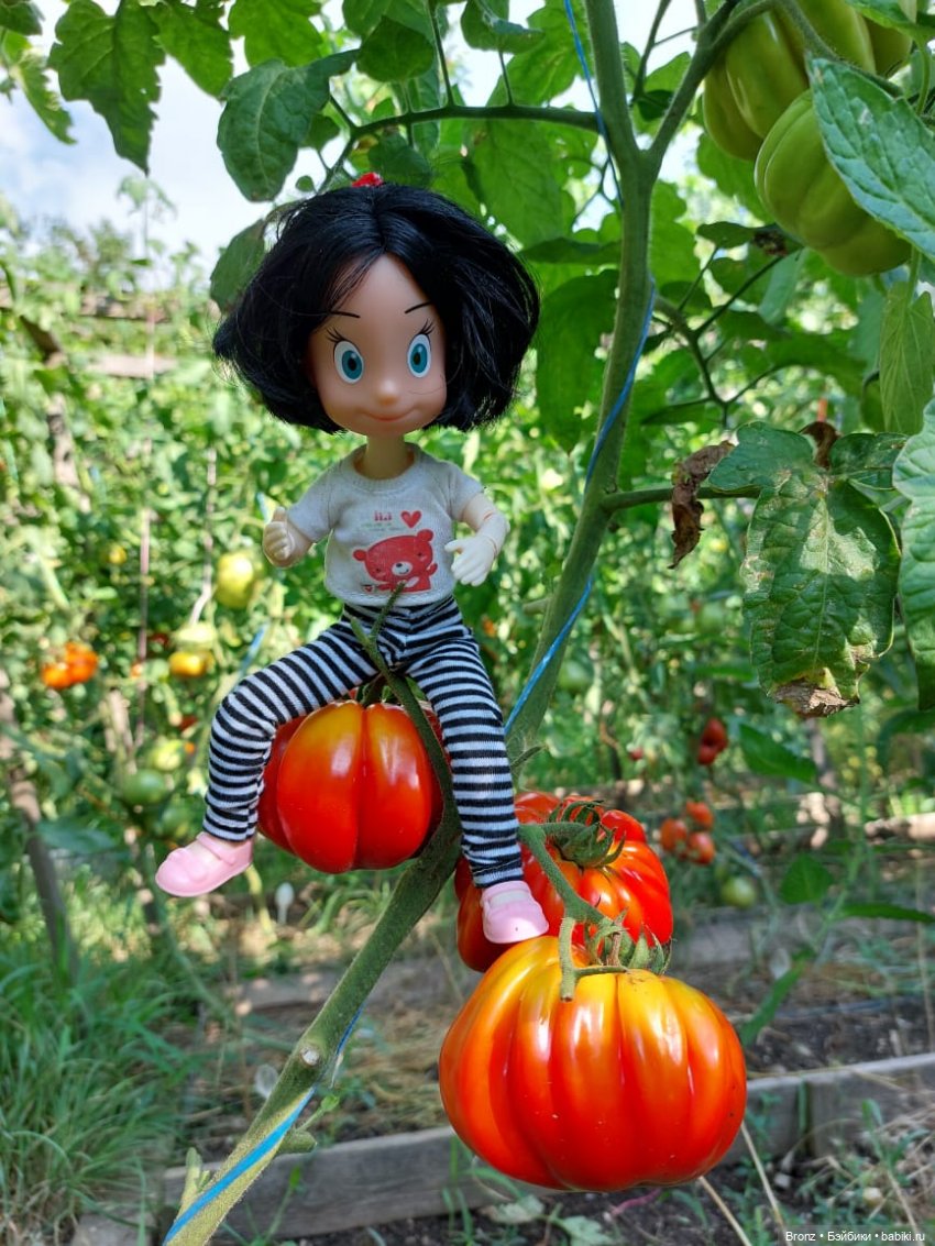 Нечаянная радость - 2 — Гибриды шарнирных кукол (не БЖД): подбор тела (фото 4)