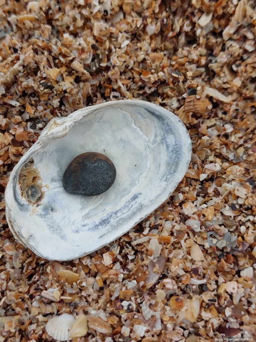 Нечаянная радость - 2 — Гибриды шарнирных кукол (не БЖД): подбор тела