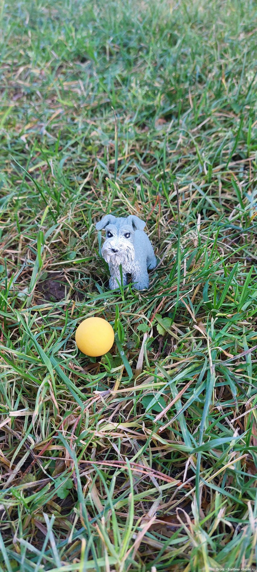 Тоби на прогулке — Куклы Barbie (Барби): Looks (фото 7)