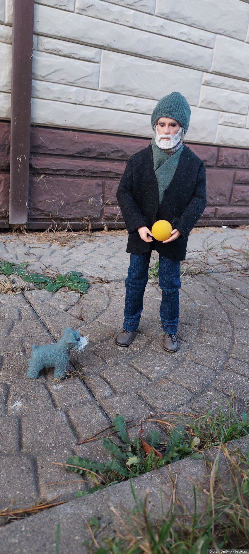 Тоби на прогулке — Куклы Barbie (Барби): Looks (фото 2)